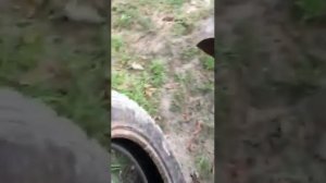 Перенос распределителя р 80, мтз 82