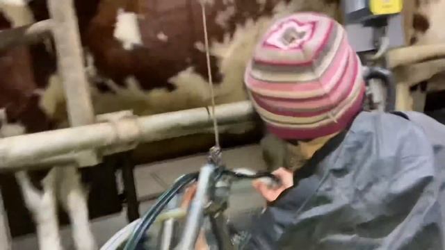 Про доярку (дояра) смотреть онлайн