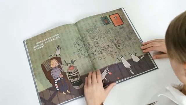 книга "Еноты моего брата" на китайском языке/ 676788 смотреть онлайн