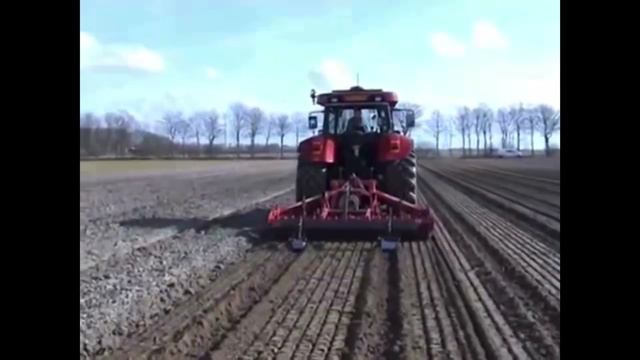 ЧТО ТАКОЕ ФРИГО?Рассада клубники фриго.