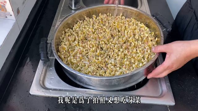 想吃芽菜不用买，用口蒸锅就能种，枝干白亮绿色营养！ смотреть онлайн