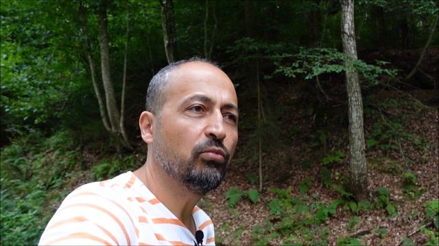 Методы активации собственных стволовых клеток