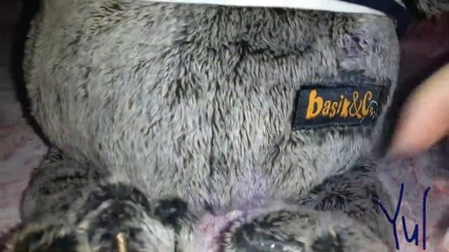 Мягкая игрушка "Котик Басик" / обзор смотреть онлайн