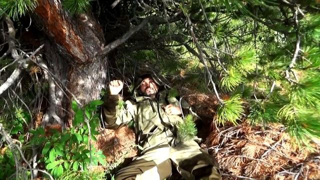 Алтай 2018. Поход по Ороктойской тропе до г. Белуха. 1,2 день похода. Часть 2. смотреть онлайн