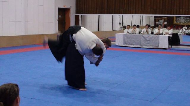 Аттестация на зелёный пояс (3-й кю) 29.05.2017г. смотреть онлайн