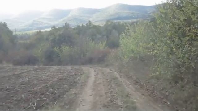 Long way to the forest my home смотреть онлайн