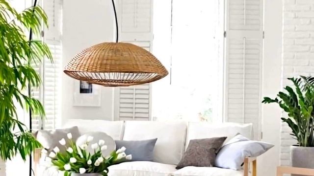 Как ухаживать за комнатными растениями зимой