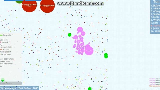 клан без пароля играю в чашку петри смотреть онлайн