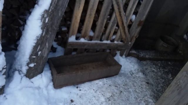 Какие породы наших гусей? Какие у нас инкубаторы? Раскладываем сено для гусей и курочек. смотреть онлайн