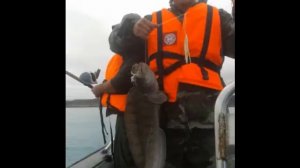 Мурманские морские рыбалки Посейдон 520