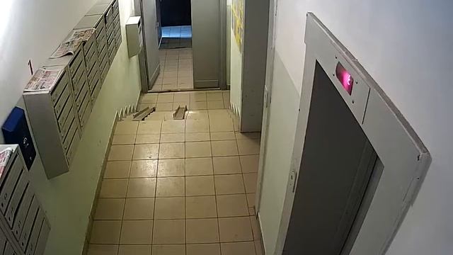 TSi Dle1F 3 6 IP,, 1280х960, 25 к⁄с, 1⁄3” Aptina CMOS сенсор смотреть онлайн