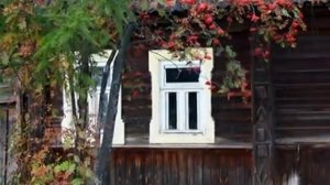 Я по тебе соскучилась, Серёжа