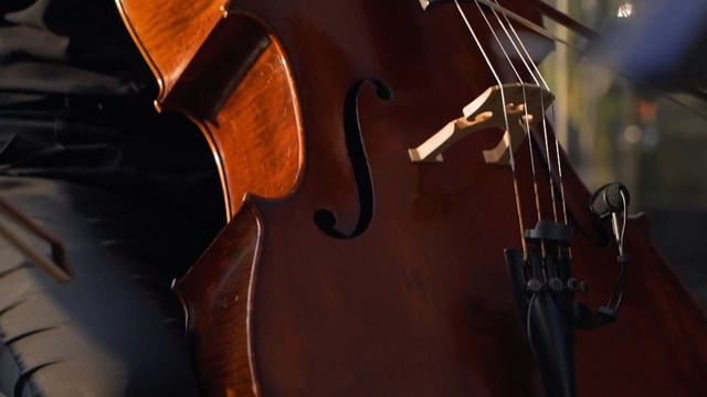 Dima Bobeen Alexandrov and Orchestra / Саксофон та оркестр смотреть онлайн