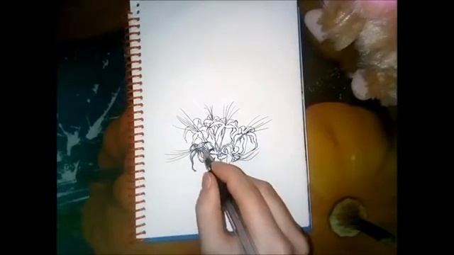 Ликорис. Эскиз, HowTOdraw