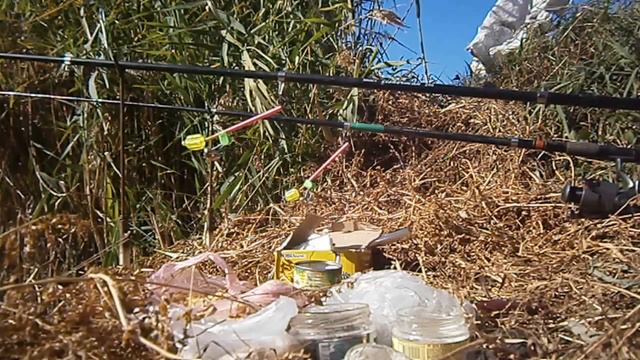 Рыбалка на карася.4 октября 2015.Украина Одесская обл.Fishing смотреть онлайн