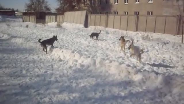 Бригада на прогулке