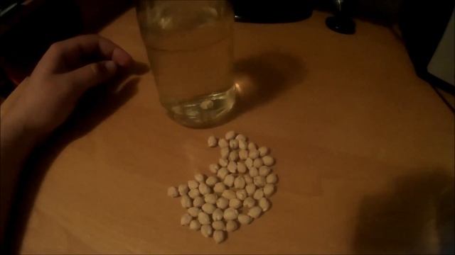 Как приготовить горох нут? Горох нут. Приманка на карпа и сазана. смотреть онлайн