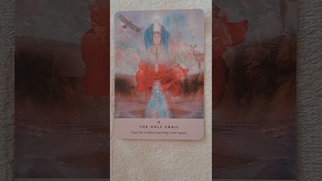 Daily message from the Rose ? смотреть онлайн