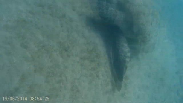 EGYPT - Marsa Alam 2014 - Coral Hills смотреть онлайн
