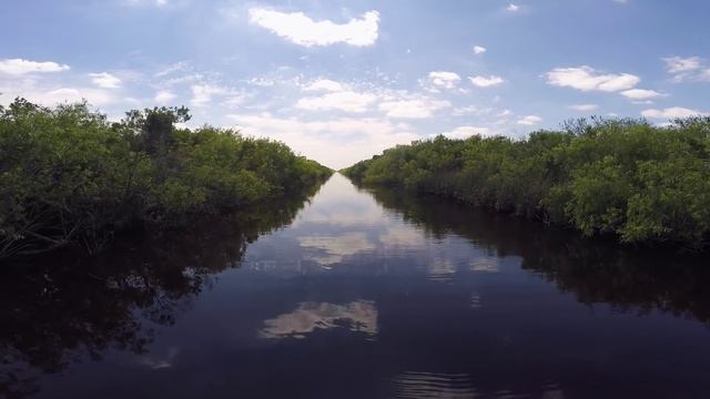 Русские в Америке #8 - Национальный Парк Эверглейдс смотреть онлайн