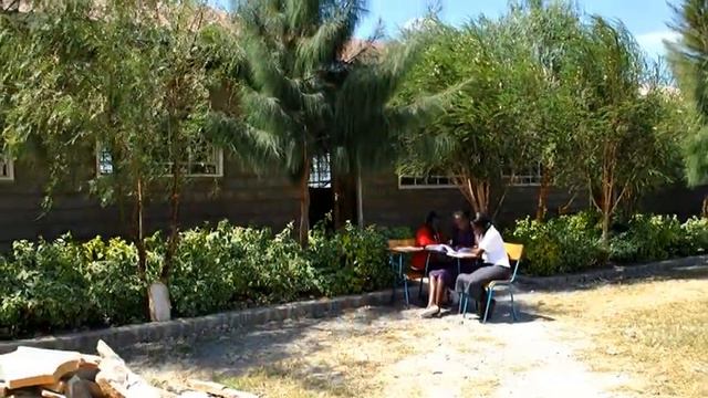 ITTC Mini Documentary смотреть онлайн