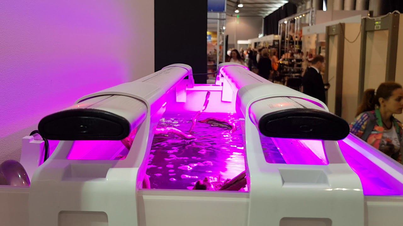 Умный дом #aquael смотреть онлайн