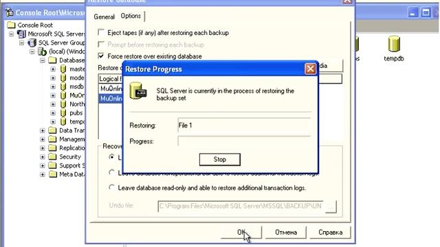 Восстановление баз данных в Microsoft SQL Server смотреть онлайн