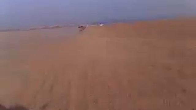 Репортажи из Египта. 14) Гонки на квадроциклах.mp4 смотреть онлайн