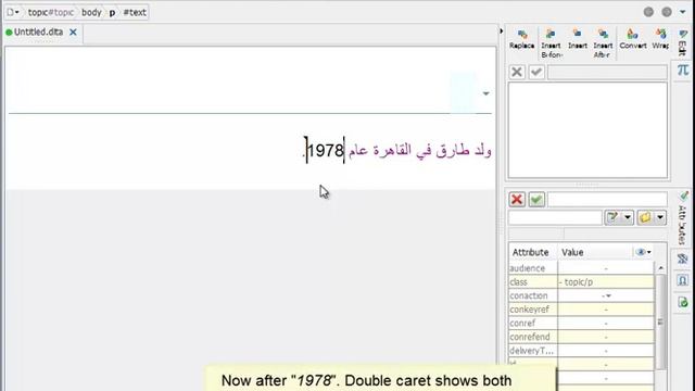 XMLmind XML Editor v9.5: Bidirectional Script Support смотреть онлайн