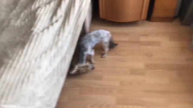 БУДНИ ФРИЛАНСЕРА | Поездка на дачу, мое первое наращивание, пикантный заказ с ozon смотреть онлайн