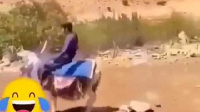 otomatik bin git смотреть онлайн