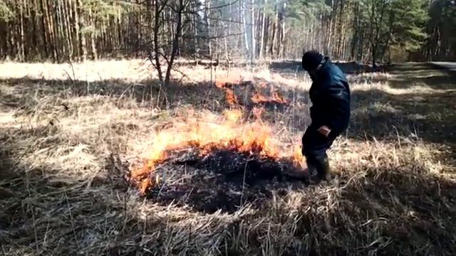 Спасите диких животных — остановите весенний пал травы смотреть онлайн