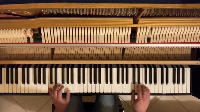 Adrian Berenguer - Little Things (top view cover) - performed by Lorenzo Bartolini смотреть онлайн