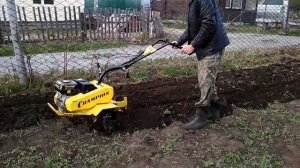 Первый раз культивирую мотоблоком Champion BC 8813.