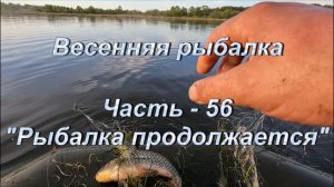 Весенняя рыбалка. Часть - 56. «Рыбалка продолжается».