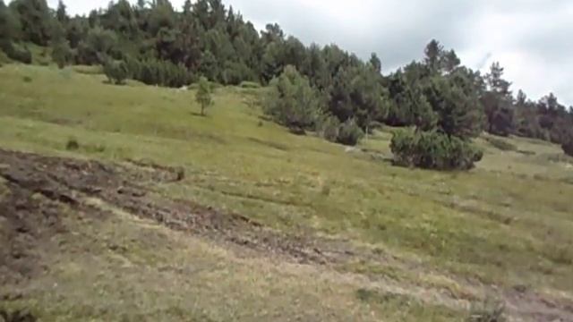 Мозаики Вдохновения