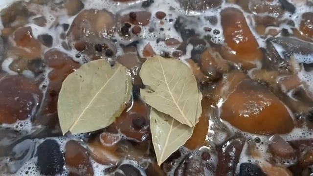 МАРИНУЮ ГРИБЫ //ОЧЕНЬ ВКУСНЫЕ МАРИНОВАННЫЕ ГРИБОЧКИ// смотреть онлайн