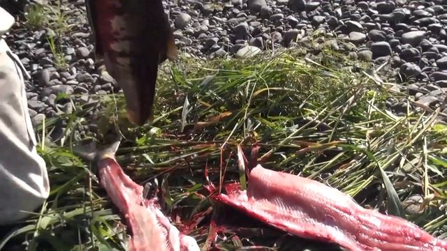 Разделка лосося скиннером от Кузница Династия, 1 смотреть онлайн