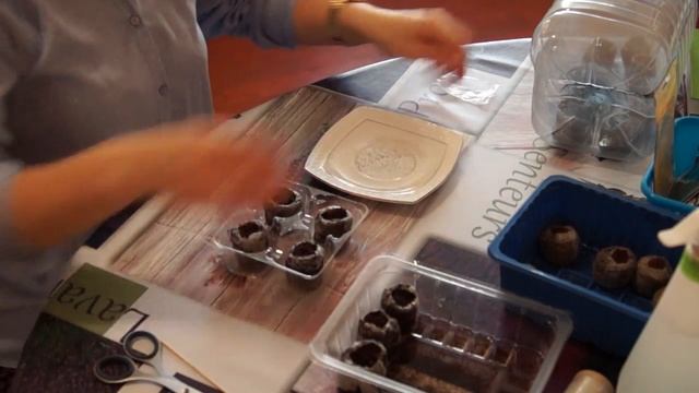 РАССАДА 2016 год Ч 1 СЕЕМ ПЕТУНИЯ ЛОБЕЛИЯ смотреть онлайн