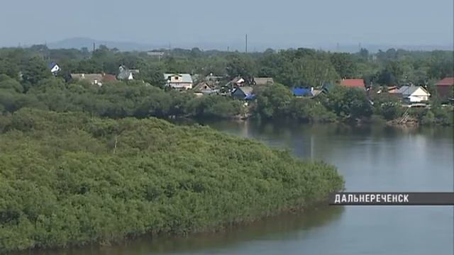 Патриотический лагерь в Дальнереченске собрал молодежь Приморья