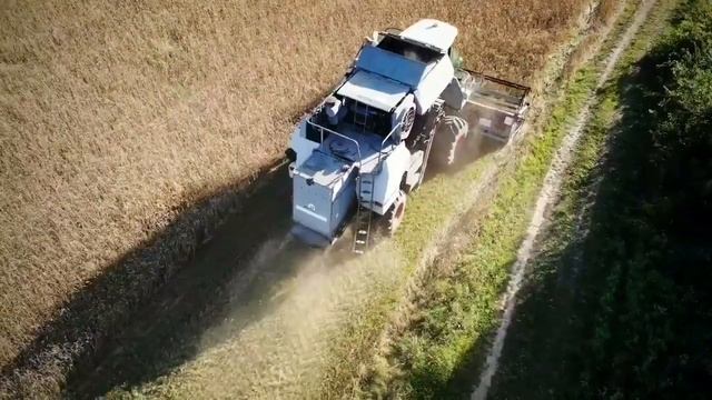 Уборка пшеницы комбайном Вектор смотреть онлайн
