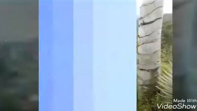 Salento - Colombia смотреть онлайн