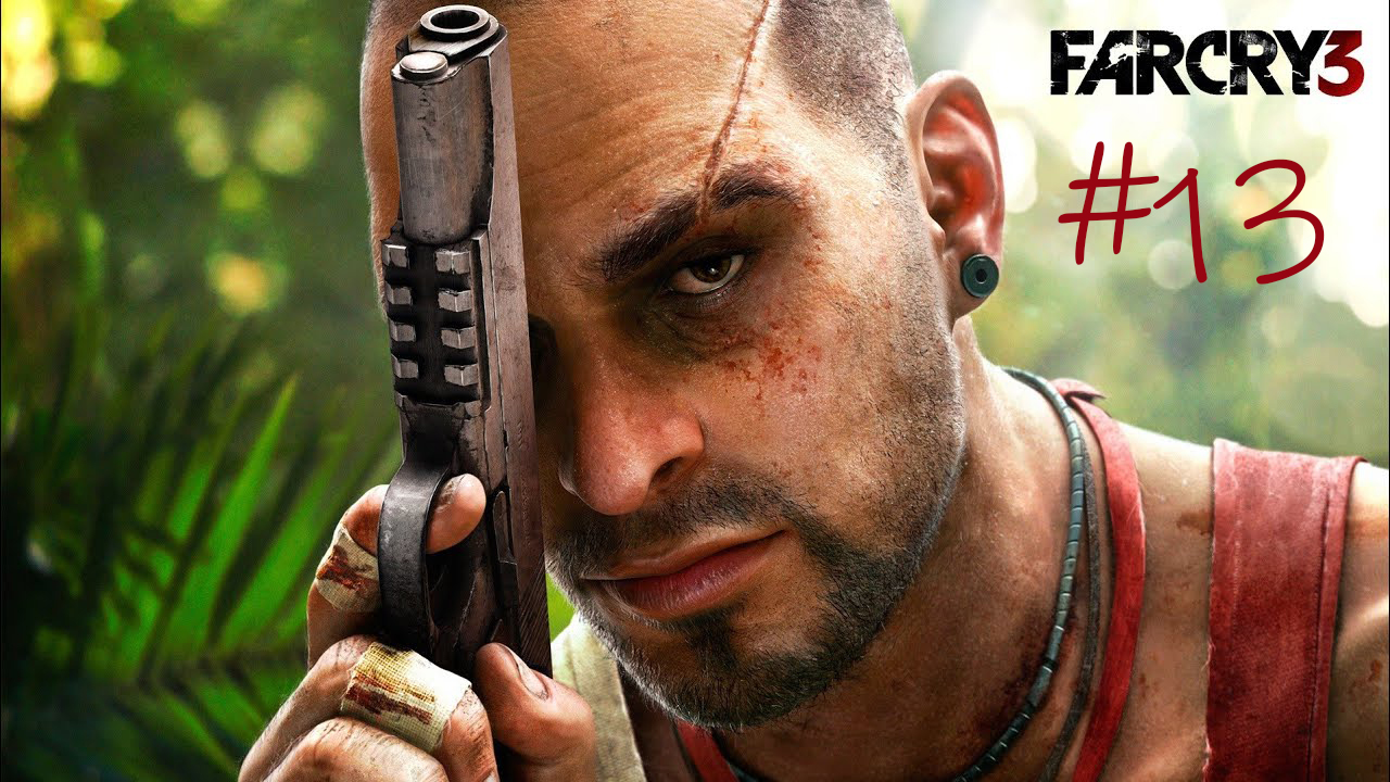 Far Cry 3 #13