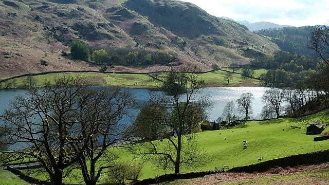 Земельный адвокат. Нюансы установления границ земельного участка в суде смотреть онлайн