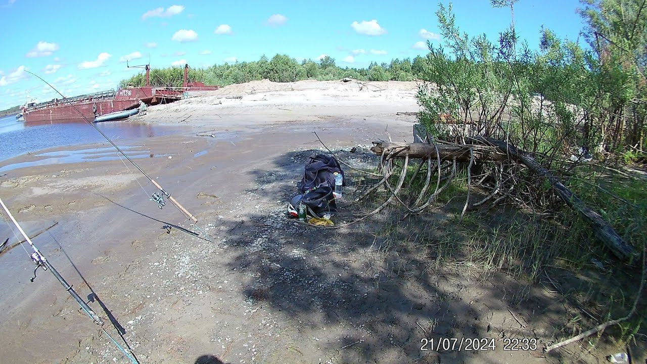 Рыбалка 23.07.2024г. Сначала одолевала мелочь, затем подошёл крупняк. смотреть онлайн