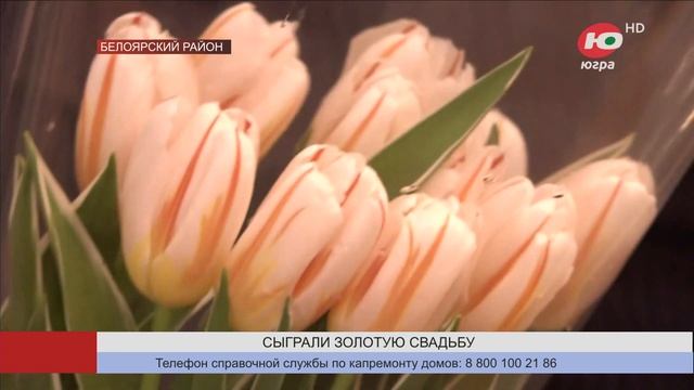 Супруги из Белоярского отметили золотую свадьбу смотреть онлайн