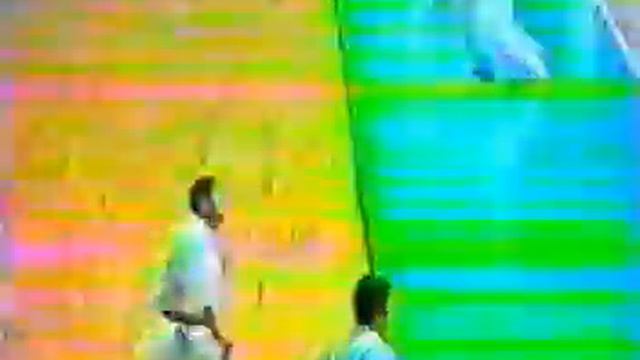 Yahara Mikio sensei, Maeda Eiji sensei. Kihon, combination смотреть онлайн