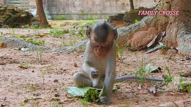 Mama Mom beat hurt me! Baby Astra fast run to hug Bonita by temper cry angry mom Anita refuse milk