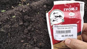 Гром-2 против муравьев.