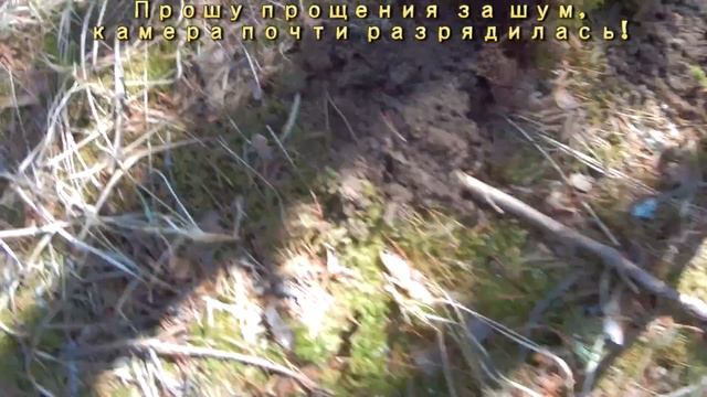 Джентльмены У Дачи, или результативный коп с Minelab X-TERRA 705 смотреть онлайн